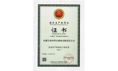 安全生產標準化